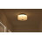 10.75 In. Black Aluminum Flush Mount Ceiling Light With White Ribbed Glass Shade