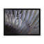 Plumes noires et blanches - Photographie sur toile-67418557-67418558