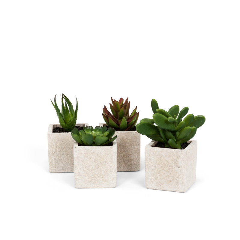 4'' Faux Succulent in Paper Planter