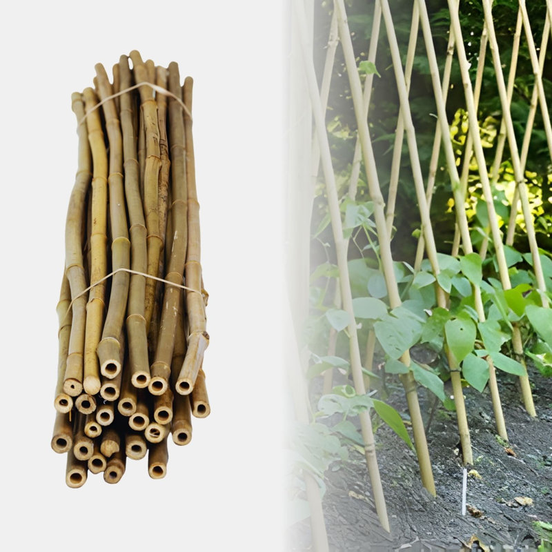 Natural Bamboo Stakes Plant Support Trellis Garden Stake, 48" H x 0.62" W x 0.62" D