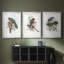 Gould Tropical Birds I - Impression personnalisée de qualité supérieure avec cadre mat - 3 pièces-479936736-479936737