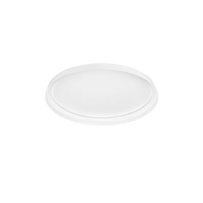 Flush Mount