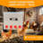 Automatic Chicken Feeder Box