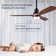 Ceiling Fans With Lights