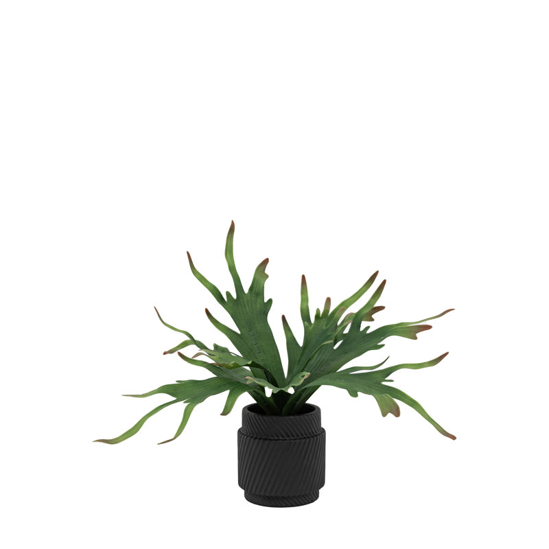 Arrangement