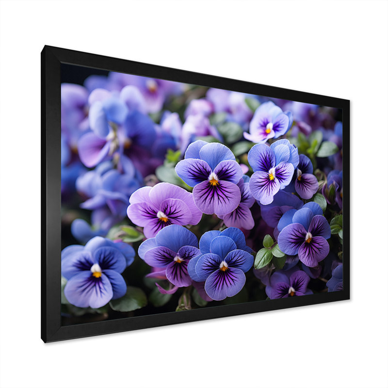 «Purple Pansies Field Vibrant» sur toile, Cadre simple noir, H 12 po x l 20 po x P 1 po
