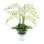 Orchid Floral Arrangement in Vase