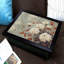 Breakfast Tray