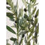150cm Faux Tree in Cement Pot