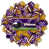 Vikings du Minnesota