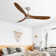 Outdoor Ceiling Fan Without Light 3 Abs Blade With Smart App Control