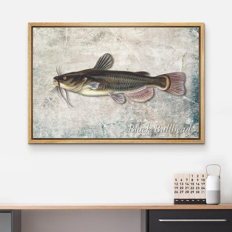 Bullhead noir sur fond de granit, vie marine, réalisme nautique, ultra sur toile, Cadre naturel flottant