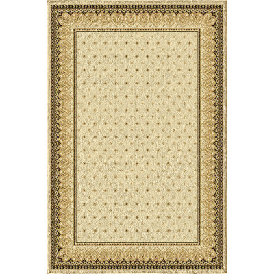 Aara Oriental Indoor Rug
