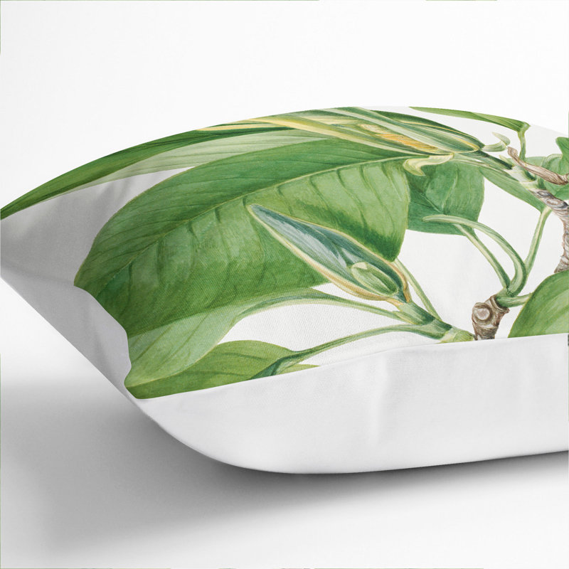 Cucumbertree Square Throw Cushion, White, 55cm H x 55cm W x 20cm D