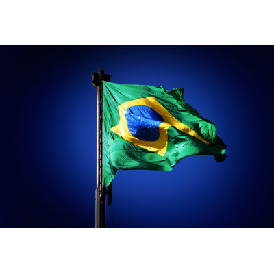 Brazilian Flag - Wrapped Canvas Print