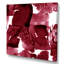 Abstrait bourgogne abstrait sur fond blanc - reproduction d'art moderne sur toile-66804015-66804022
