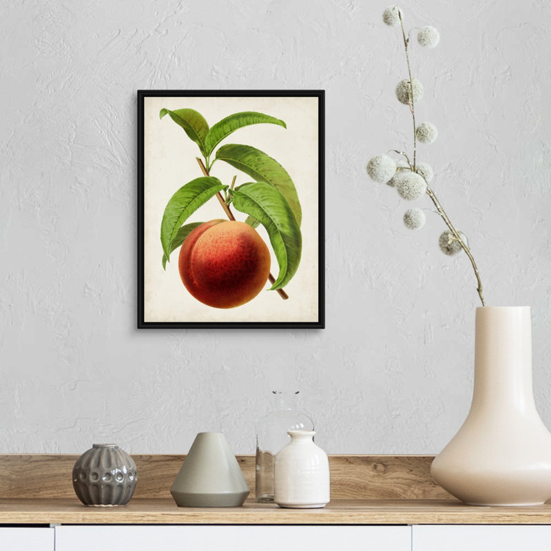 Antique Fruit V - reproduction d'art sur toile, H 15,7 po x l 12,7 po x P 1,75 po, Cadre flottant noir
