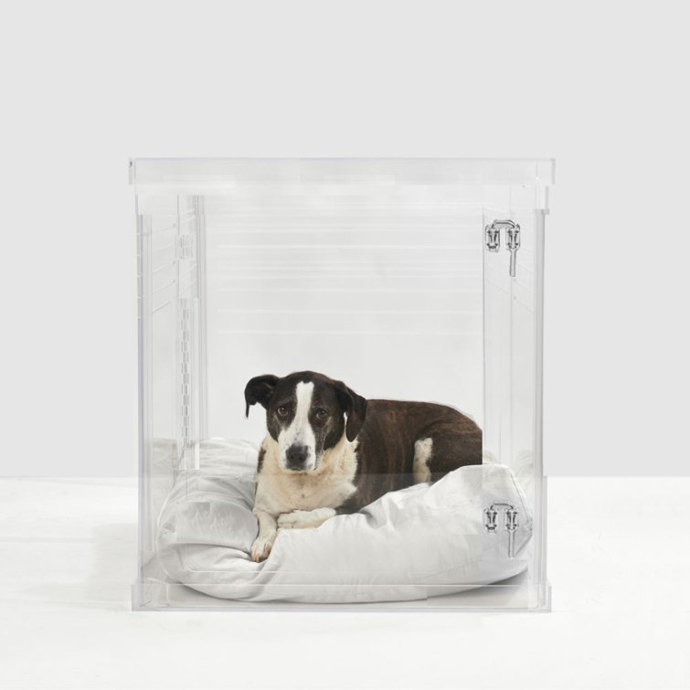 https://assets.wfcdn.com/im/00955474/resize-h755-w755%5Ecompr-r85/2641/264165746/Clear+Acrylic+Dog+Crate-to-Gate.jpg
