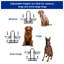 Diner pour animaux Dinahlee-13945782