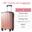 Valise rigide, valise légère en ABS durable avec roulettes doubles, verrou TSA, bagage de transport de 20 pouces