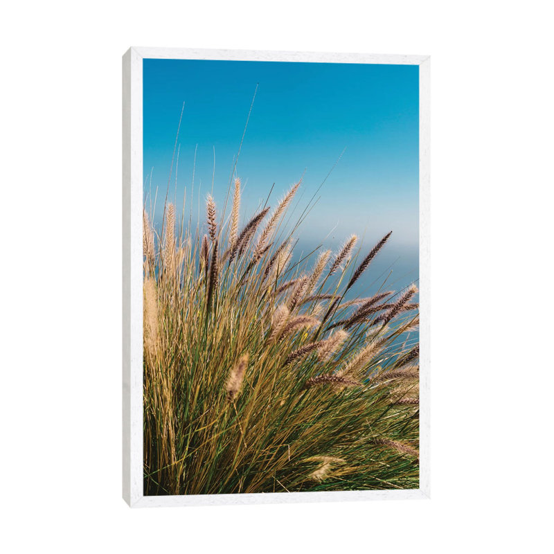 Wild Big Sur by Bethany Young - Print on Canvas, White Framed, 66.04cm H x 45.72cm W x 3.81cm D