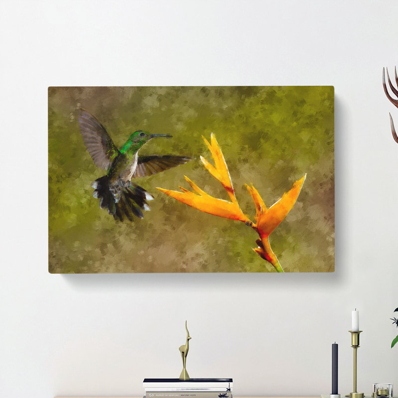 Hummingbird By A Flower - Wrapped Canvas, 35cm H x 50cm W x 3cm D