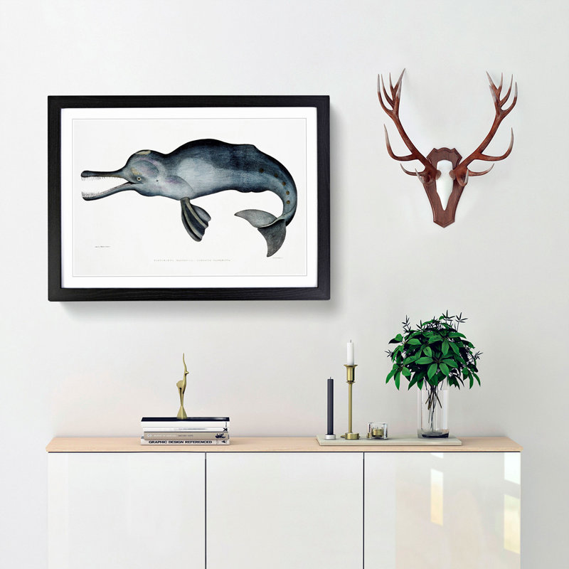 River Dolphin by John Edward Gray - Picture Frame Painting Print, Black Framed, 36cm H x 48cm W x 2cm D