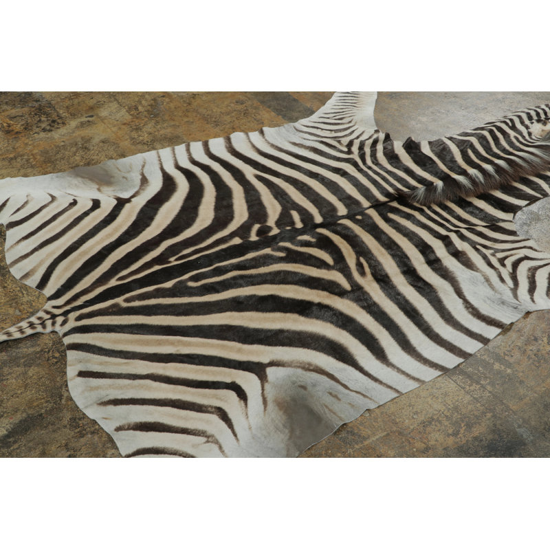 Modern Area Rug