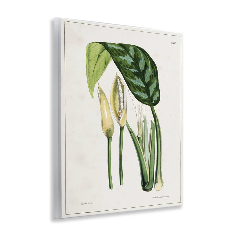 Art mural sur étang par Tina Higgins Designs, Inc.