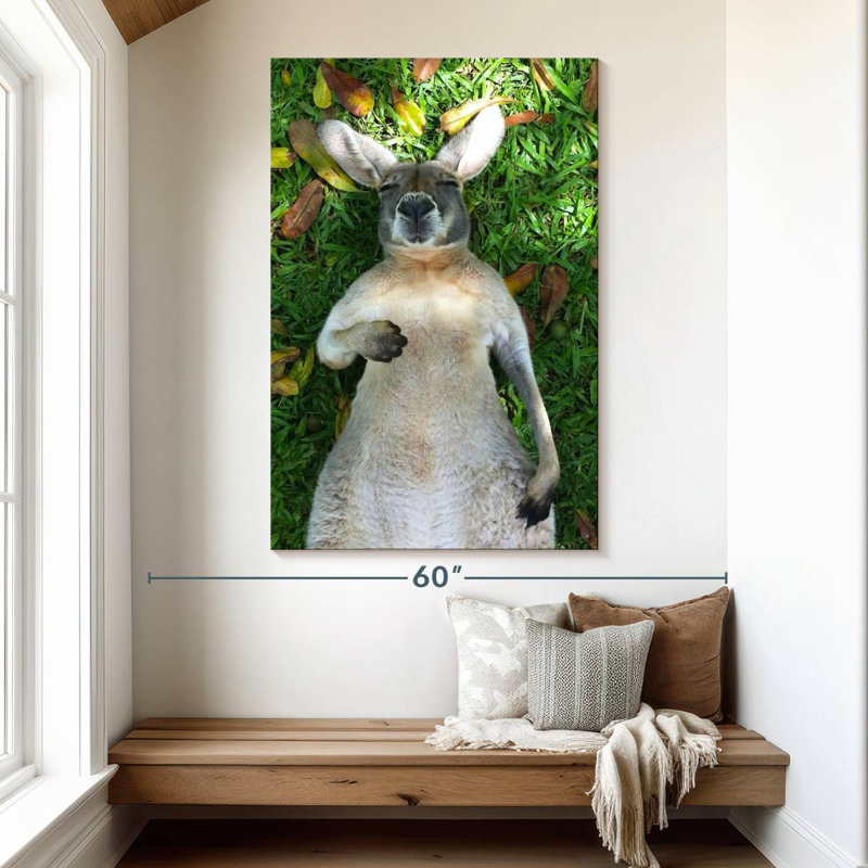 Sleeping Kangaroo, 51" H x 34" W