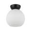 Arcadia 1 - Light Flush Mount-1507238959-1507238944