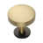 Bright Satin Brass