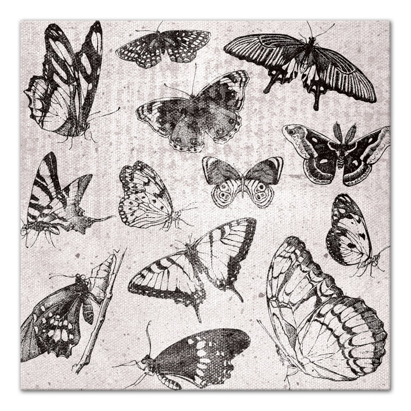 " Grayscale Butterflies ", 20" H x 20" W x 1.25" D