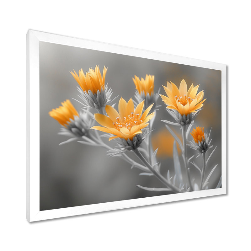 Monochrome Yellow Grey Wonder Thistle - Thistle Wall Art, 30" H x 40" W x 1.5" D, White Single Picture Framed Canvas
