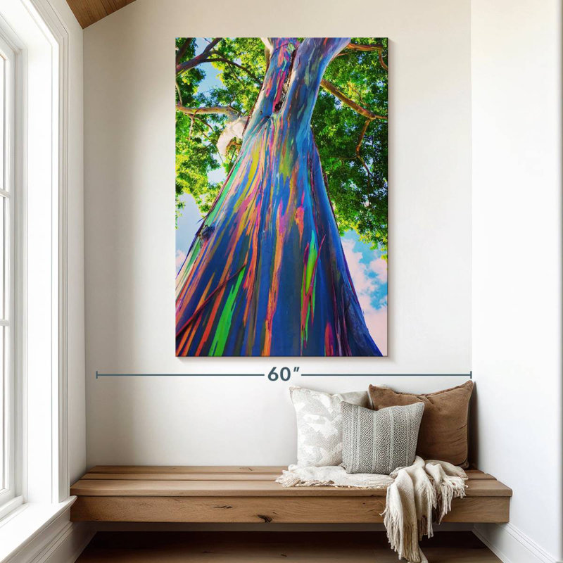 Harnek Oahu Rainbow Eucalyptus Tree, 51" H x 34" W