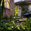 Piquet de jardin 39 po H