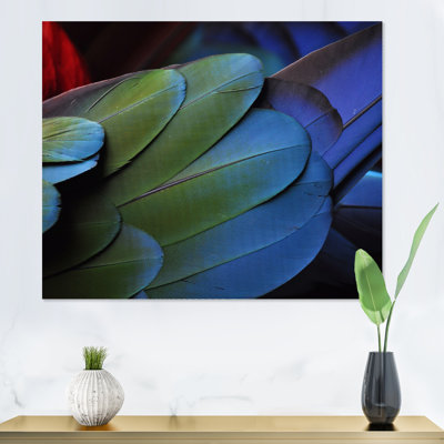 Plumes de perroquet bleu et vert - reproduction d'art sur toile traditionnelle