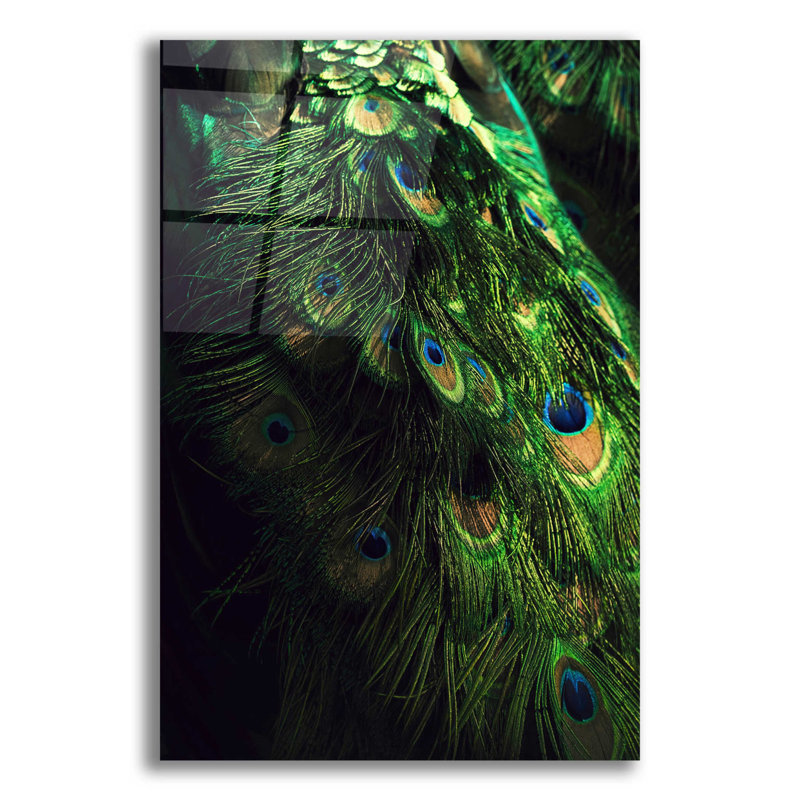 Epic Art «Peacock Tail» par Incado, H 16 po x l 12 po x P 0,13 po