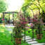 Arche de jardin en métal de 79,5 po x 86,6 po avec barrière, noir - plantes grimpantes coûteuses: lierre, rose, gloire du matin, remarquable jasmin