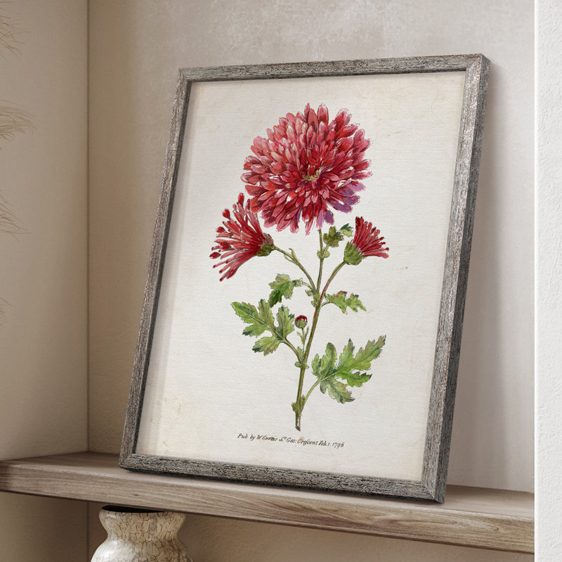 «Botanical III», reproduction encadrée - bois massif, H 11 po x l 9 po
