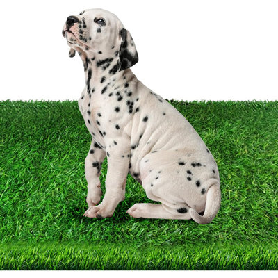 Faux gazon artificiel pour l'extérieur pour chien, bricolage Natura Ar ...