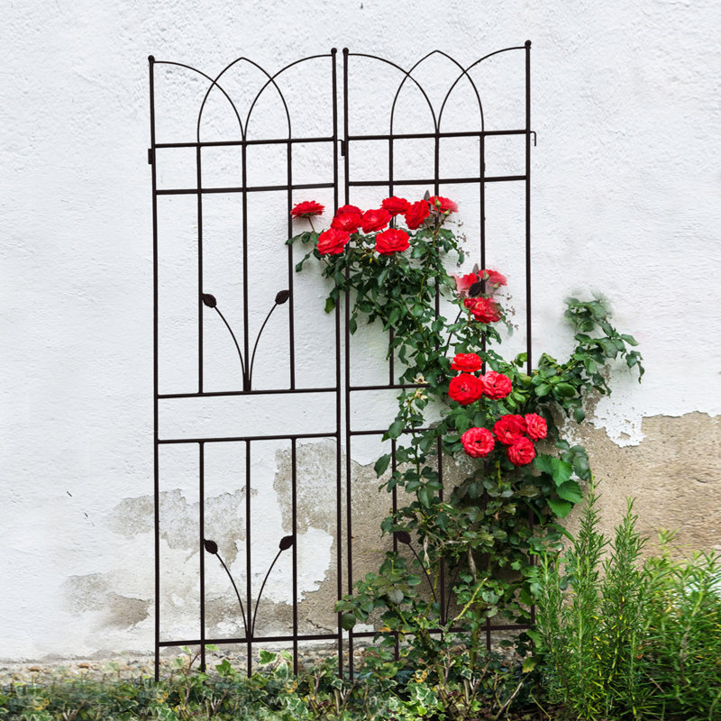 Paquet de 4 treillis de jardin en métal, Noir
