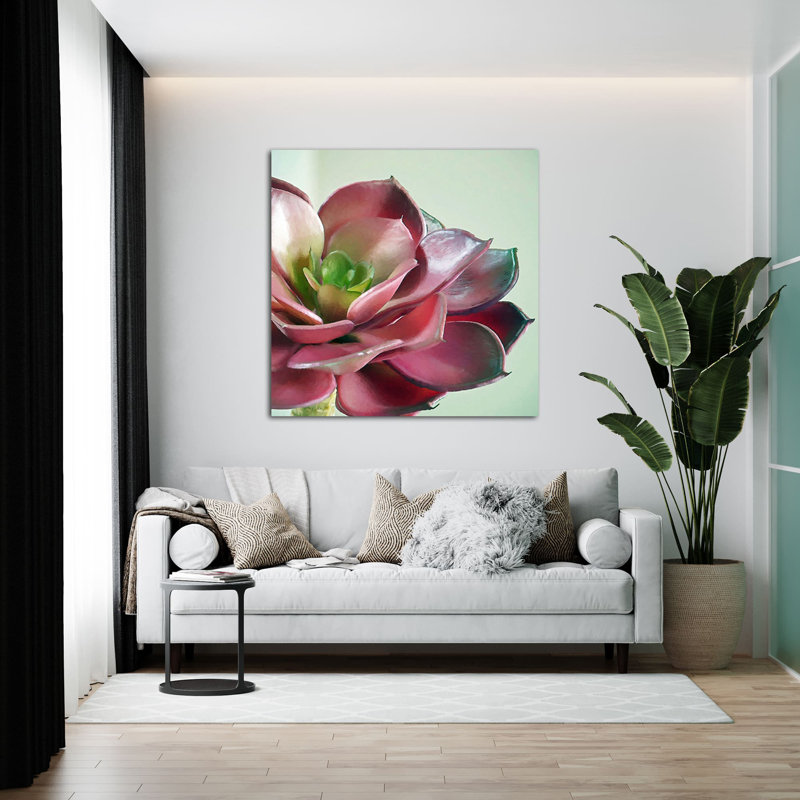 " Echeveria Burgandy ", 24" H x 24" W x 1.5" D