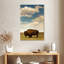 Bison des Rocheuses Brampt-108442599