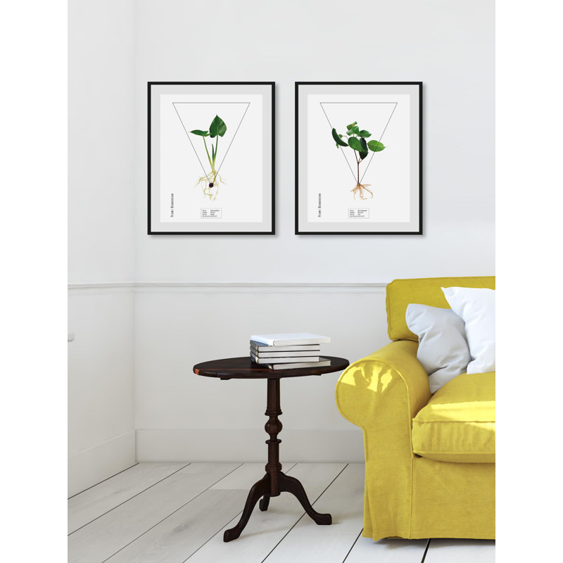 Plant - Single Picture Frame Print, 40 cm H x 30 cm W