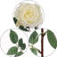 Ensemble de roses artificielles-1221186045-1313048091