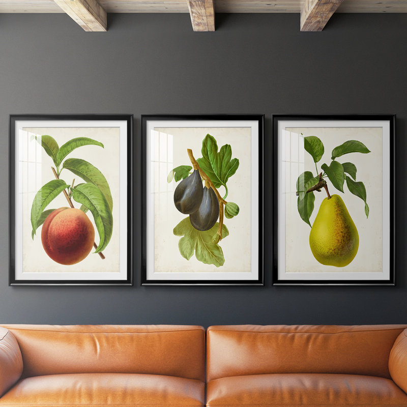 Antique Fruit V - Impression sur mesure encadrée de qualité supérieure - 3 pièces, Noir, H 21 po x l 30 po