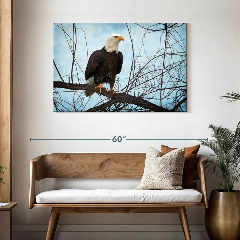 Portrait d'un aigle à tête blanche Brampt