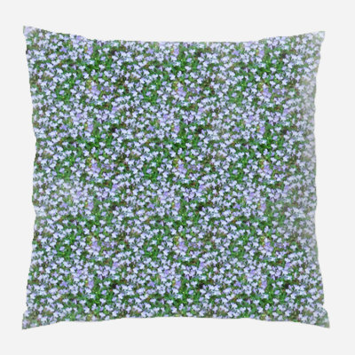 Coussin lobelia