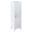 Quezada 1 -Door 2 -Shelf Storage Cabinet-1679486808